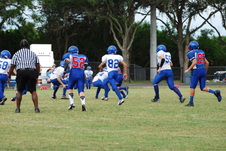 Enlarge photo 460