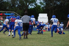 Enlarge photo 461
