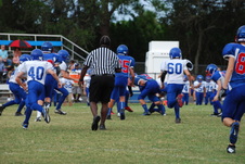 Enlarge photo 462