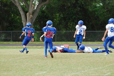 Enlarge photo 474