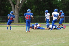Enlarge photo 475