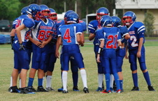 Enlarge photo 498