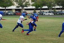 Enlarge photo 507