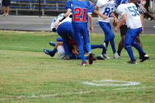 Enlarge photo 513