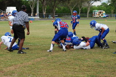 Enlarge photo 93