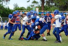 Enlarge photo 551