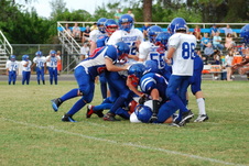 Enlarge photo 552
