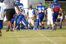 Enlarge photo 175