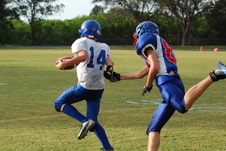 Enlarge photo 181