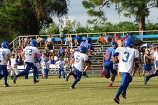 Enlarge photo 632