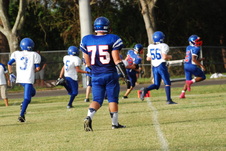 Enlarge photo 205