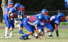 Enlarge photo 225