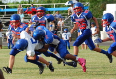 Enlarge photo 233