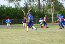 Enlarge photo 262