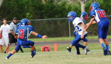 Enlarge photo 258
