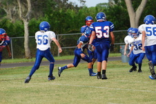 Enlarge photo 263