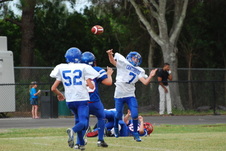 Enlarge photo 293