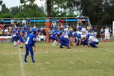 Enlarge photo 726