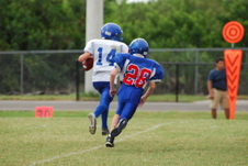 Enlarge photo 313