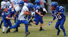 Enlarge photo 324