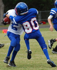 Enlarge photo 328