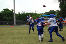 Enlarge photo 339