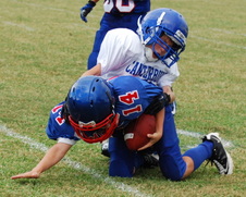 Enlarge photo 340