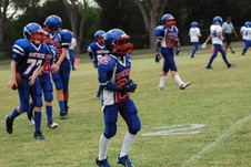 Enlarge photo 362