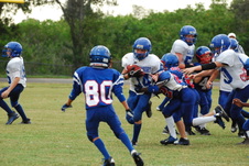 Enlarge photo 800