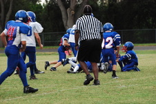 Enlarge photo 378