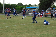 Enlarge photo 394