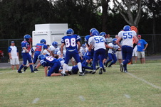 Enlarge photo 428