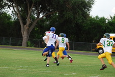 Enlarge photo 49