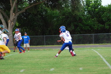 Enlarge photo 65