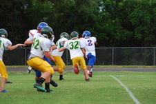 Enlarge photo 71