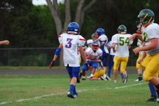 Enlarge photo 73