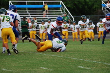 Enlarge photo 93
