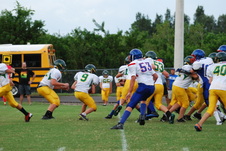 Enlarge photo 96