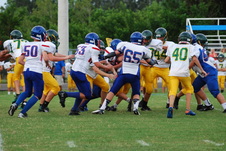 Enlarge photo 97