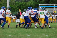 Enlarge photo 95