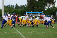 Enlarge photo 106