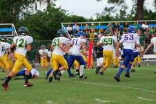 Enlarge photo 113