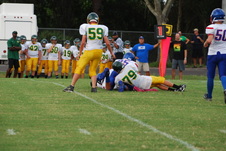 Enlarge photo 133