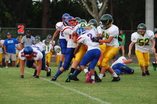 Enlarge photo 135