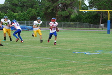 Enlarge photo 179
