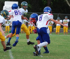 Enlarge photo 184