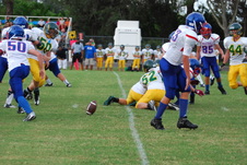 Enlarge photo 187