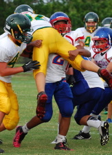 Enlarge photo 193