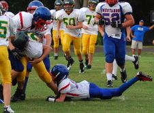 Enlarge photo 207