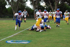 Enlarge photo 209